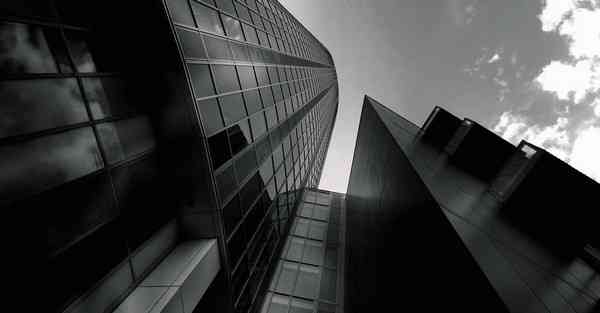 互动性强好养的龟_互动性强好养的宠物