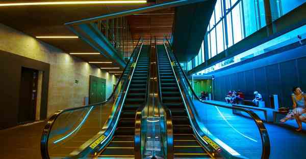 好玩的展会_好玩的展会活动