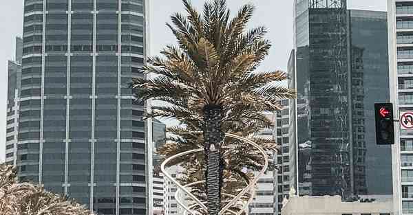 竖屏互动电视剧