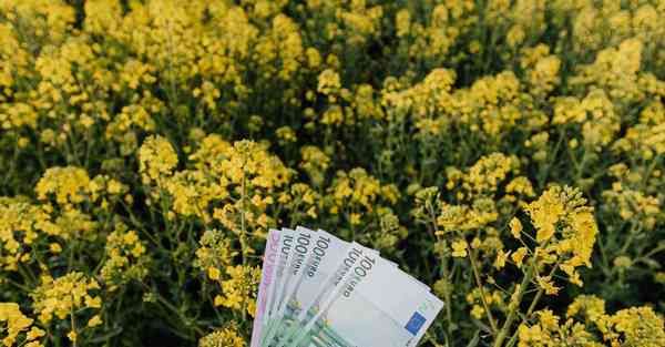 互动企业展厅装修效果图