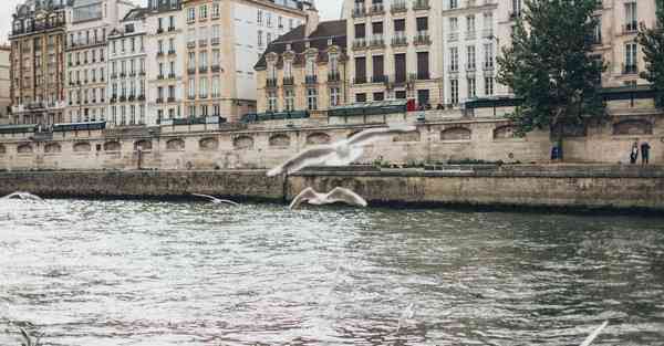 展厅活动宣传片_展厅活动展架