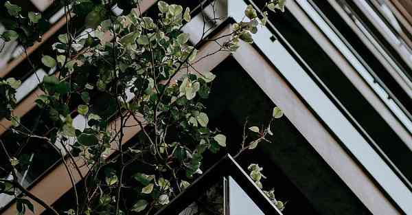 互动课堂_互动课堂软件